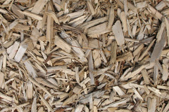 biomass boilers Pistyll