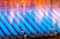 Pistyll gas fired boilers